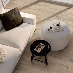 World Of Exotics Collection